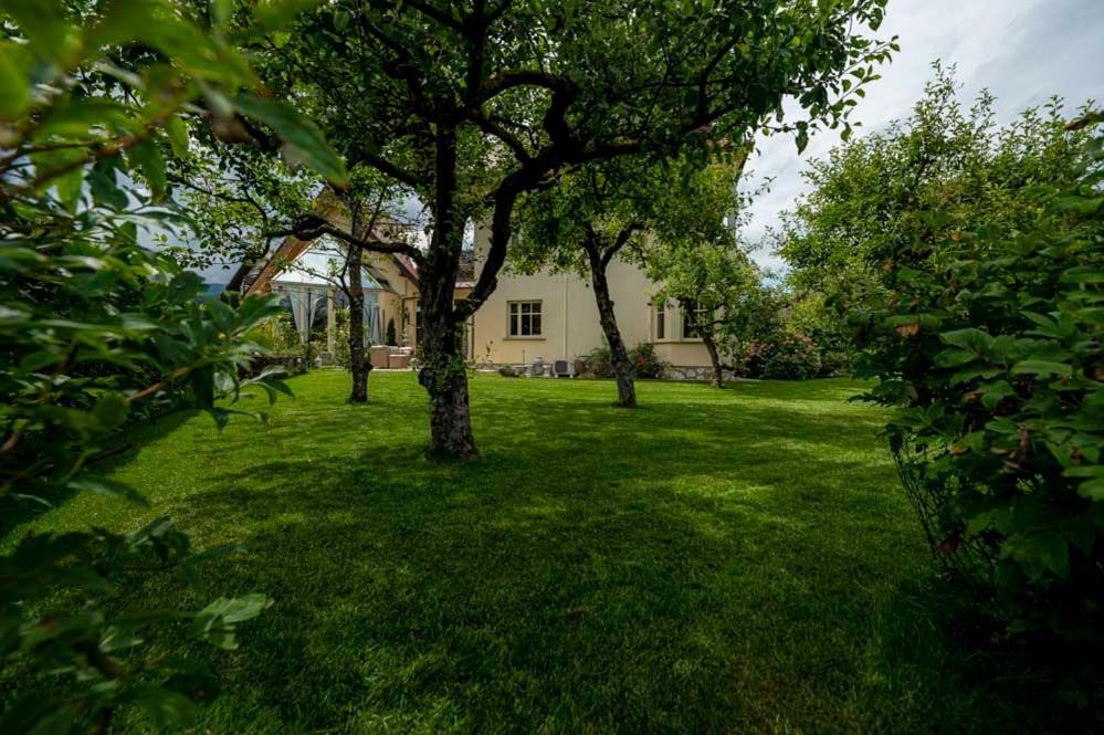 Villa Rory Bled Exterior photo